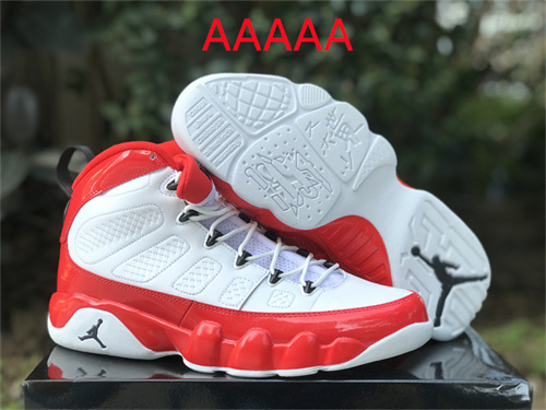 Jordan9(AAAA)-M-006