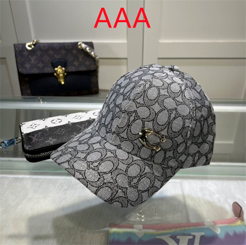 Coach-Cap(AAA)-012