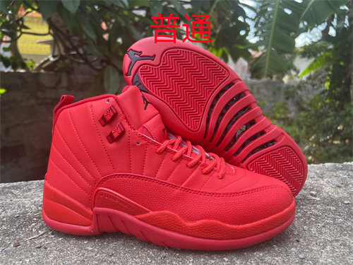 Jordan12-M-024