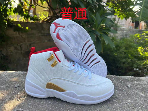 Jordan12-M-037