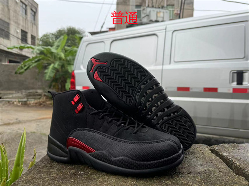 Jordan12-M-044